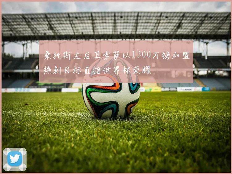 桑托斯左后卫索萨以1300万镑加盟热刺目标直指世界杯荣耀