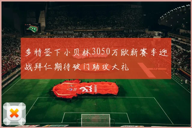 多特签下小贝林3050万欧新赛季迎战拜仁期待破门助攻大礼