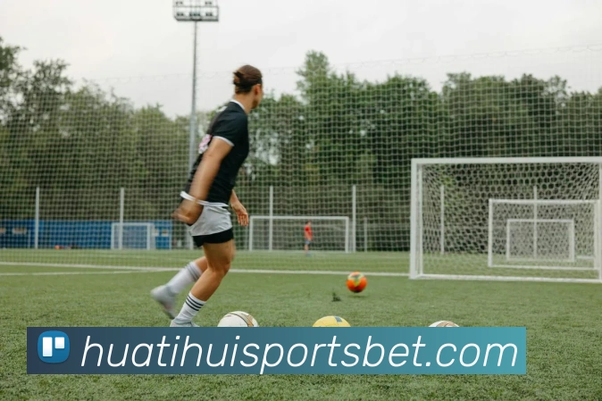 华体会体育发展历程